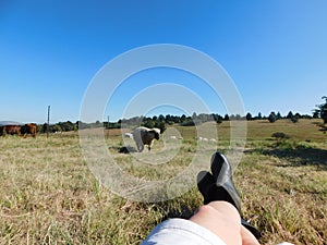 Caucasian, female legs, black boots, lying in a grass field looking at cattle grazing