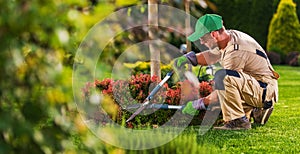 Caucasian Garden and Landscaping Services Contractor