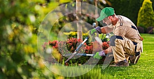 Caucasian Garden and Landscaping Services Contractor photo