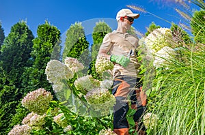 Caucasian Garden Taker Performing Seasonal Maintenance