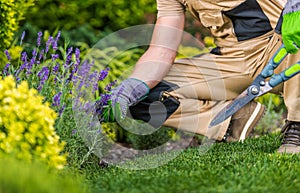 Caucasian Gardener and the Garden Maintenance Job