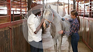 Caucasian girl and afro man using electric trimmer for shearing gray horse in stable