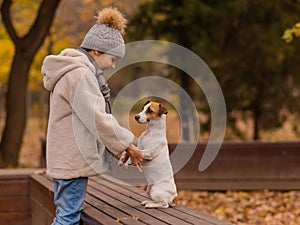 Caucasian girl holding a dog by the paws for a walk in the autumn park. Jack Russell Terrier stands on its hind legs on