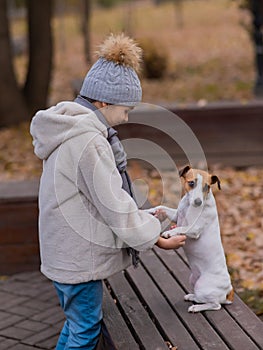 Caucasian girl holding a dog by the paws for a walk in the autumn park. Jack Russell Terrier stands on its hind legs on