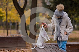 Caucasian girl holding a dog by the paws for a walk in the autumn park. Jack Russell Terrier stands on its hind legs on