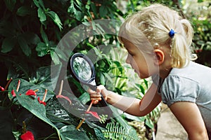 Caucasian girl looking at plants flowers anthurium through magnifying glass