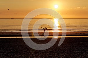 Caucasian girl practicing yoga near North sea