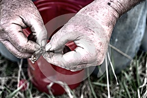 Caucasian hands putting a worm on a hook to use as live bait