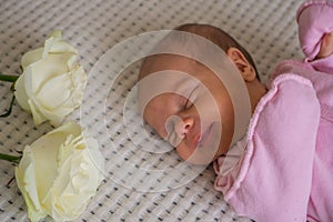 Caucasian infant girl in pink bodysuit lying on her back with roses flowers on the bed at home