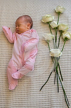 Caucasian infant girl in pink bodysuit lying on her back with roses flowers on the bed at home
