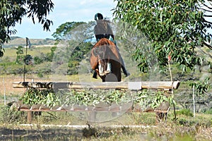 Eventing equestrian jumping down skiramp photo