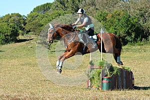 Horse and rider jumping photo