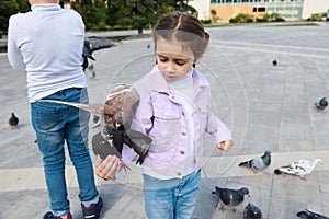 Caucasian little girl looking at a pigeon sitting on her arm, while feeding flock of flying doves in city park