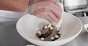 Caucasian male chef decorating meal in kitchen, slow motion