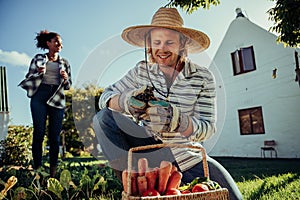 Caucasian male gardener working in vegetable patch with female friend examining fresh grapes