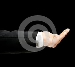 Caucasian male hand in a business suit isolated