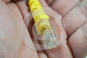 Caucasian male palm holding a yellow internet switch.