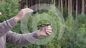 Caucasian man with a big butterfly of black and yellow colors in his hand. Video. Side view of a middle aged man