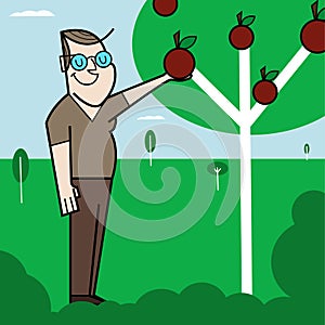 Caucasian man collects apples from apple tree, vector illustration
