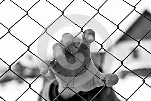 Caucasian man hand holding the wire fence at correctional institute