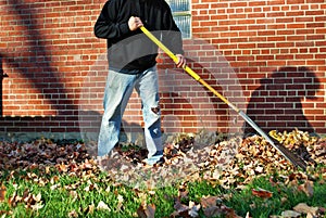 Caucasian man with large brown afro raking leaves in the fall