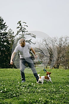 Caucasian man plays toy rope tug-of-war with a dog on green grass. An active spring walk in park of male owner and jack