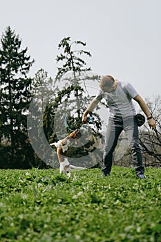 Caucasian man plays toy rope tug-of-war with a dog on green grass. An active spring walk in park of male owner and jack