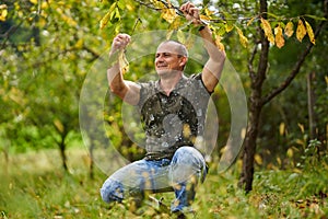 Caucasian man portrait in an orchard