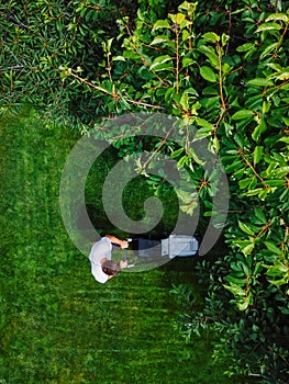 Caucasian man pushing lawn mower for cutting green grass in garden with sunlight at summer season. Aerial view. Housework and