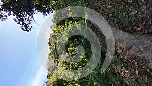 Caucasian man wearing bandana on face is hiking in a tropical asian forest and taking selfie