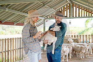 Caucasian man and woman farmers work together with man hold baby sheep to check health and take care by woman that use tablet to