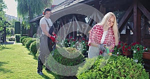 Caucasian man and woman pruning overgrown bushes