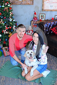 Caucasian man and woman sitting on floor with white dog near decorated Christmas tree. photo