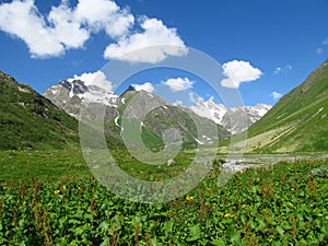 Caucasian mountains in Georgia grass and rocks landscape