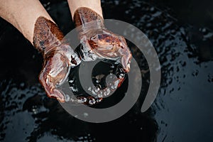 Caucasian oil hands are folded in a bowl of oil. Oil spill. Environmental pollution. an environmental disaster. Copy