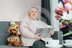 Caucasian old elderly senior woman sitting on sofa with dog pet and using tablet for surfing social media, e-banking, e