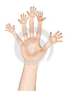 Caucasian open man hand with open hand fingers