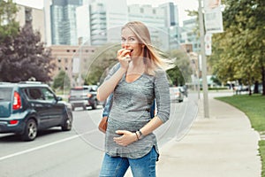 Caucasian pregnant young blonde Caucasian woman eating apple.