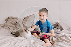 Caucasian preschooler boy sitting on bed in bedroom at home and petting stroking oriental point-colored cat. Child with domestic