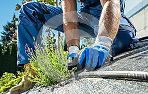 Gardener Building Trickle Irrigation System photo