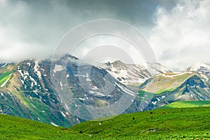 Caucasian ridge, trip to Georgia