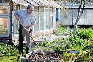 Caucasian Senior man with shovel digging garden bed or farm