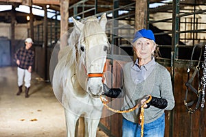Senior woman horse breeder leading white horse through horse barn