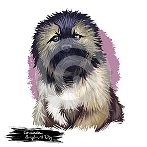 Caucasian shepherd dog breed digital art illustration