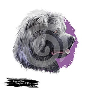 Caucasian Shepherd Dog breed isolated on white background digital art illustration. Cute pet hand drawn portrait