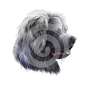 Caucasian Shepherd Dog breed isolated on white background digital art illustration. Cute pet hand drawn portrait. Graphic clipart