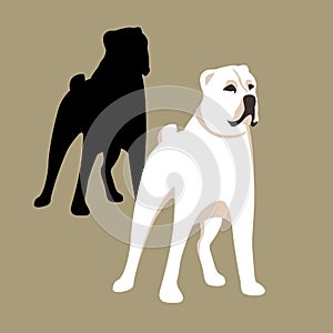 Caucasian shepherd dog vector illustration style Flat set