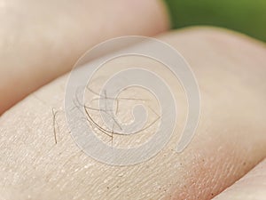 Caucasian super macro hand. Helthy abstract skin. Dermatology concept.