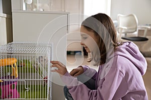 Caucasian teen girl play with domestic hamster