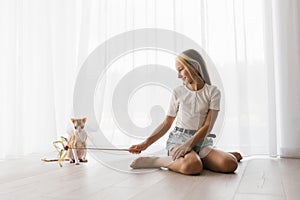 Caucasian teen girl sitting on the floor playing with a cat cornish rex with a stick teaser in the house